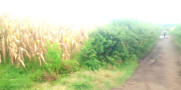 Plot at Nakuru Tumsifu No Far From NKR- Nyahururu Highway