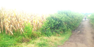 Plot at Nakuru Tumsifu No Far From NKR- Nyahururu Highway - Image 5