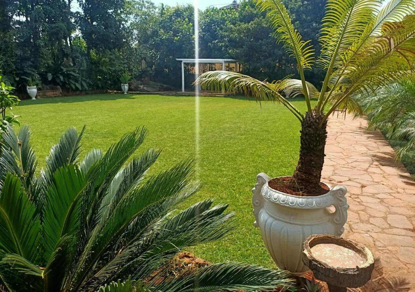 0.8-Acre Estate with Pool, Guest Houses & 24-Car Parking - Lavington