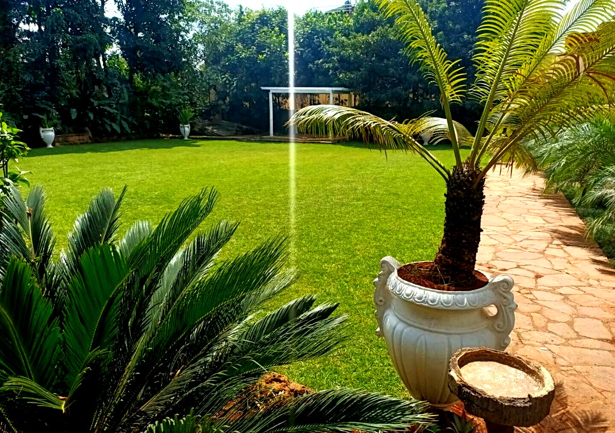 0.8-Acre Estate with Pool, Guest Houses & 24-Car Parking - Lavington