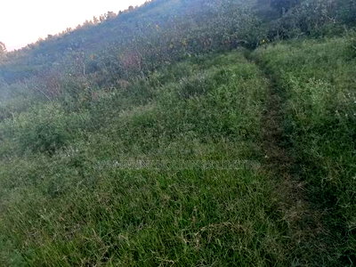 Quarter Acre in a Gated Community in Matasia - Image 2