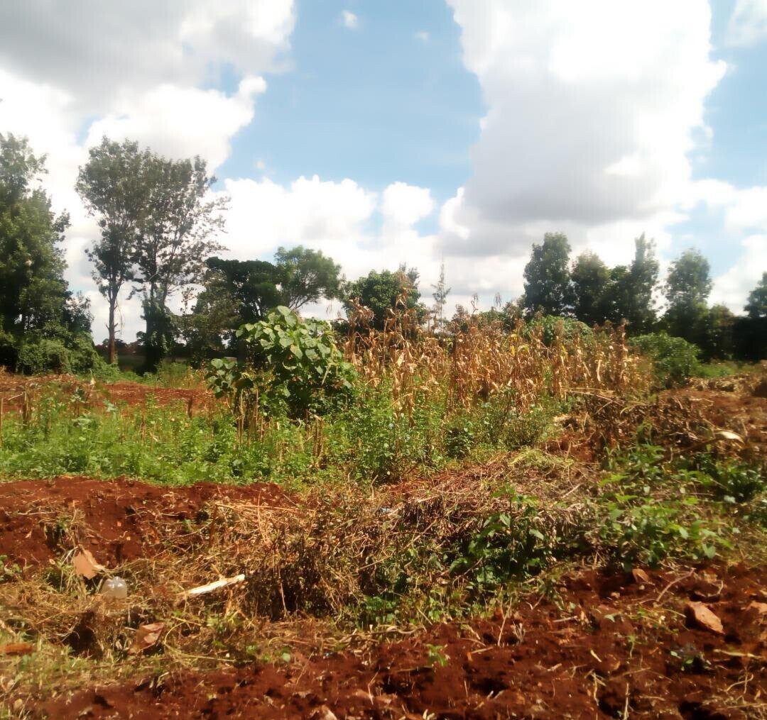 1.4-Acre Runda Plot at KSh 130M