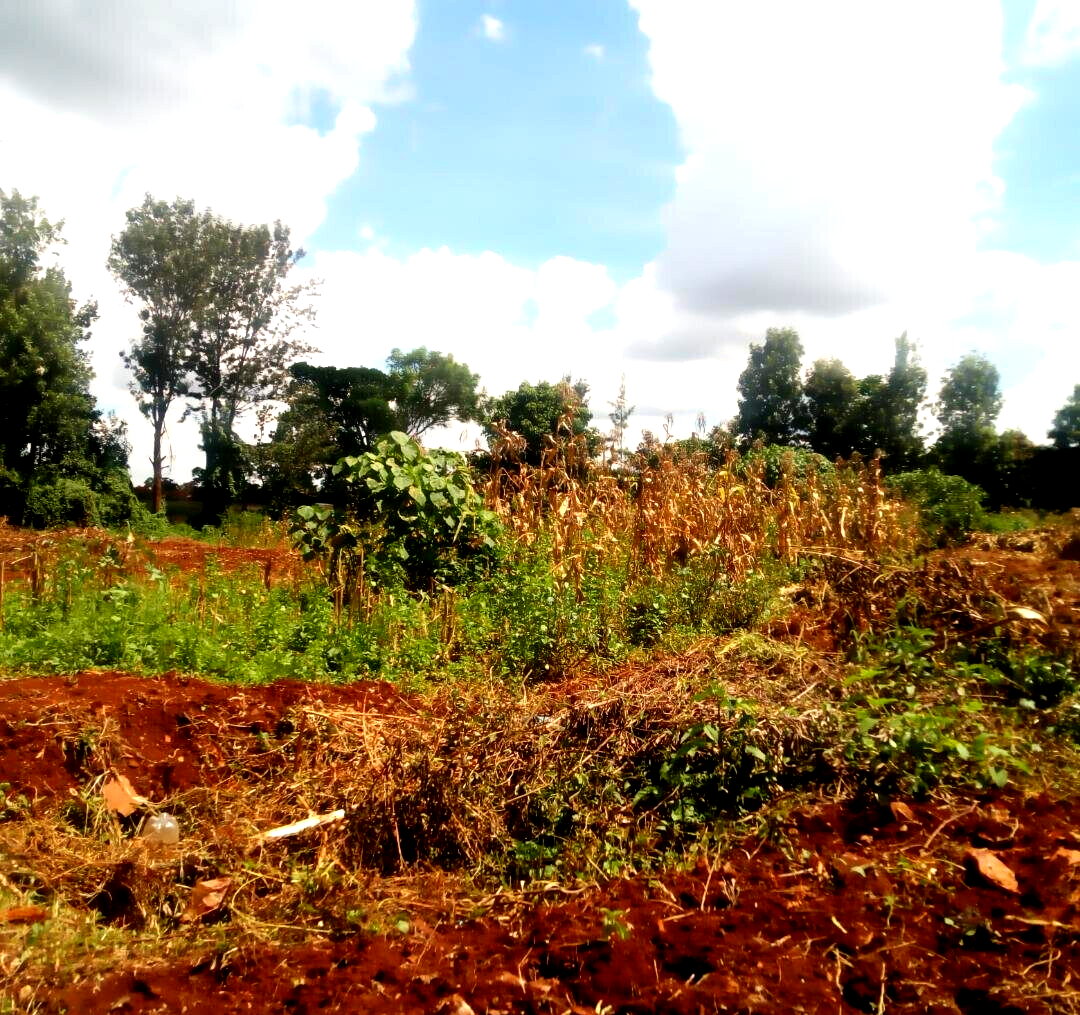 1.4-Acre Runda Plot at KSh 130M