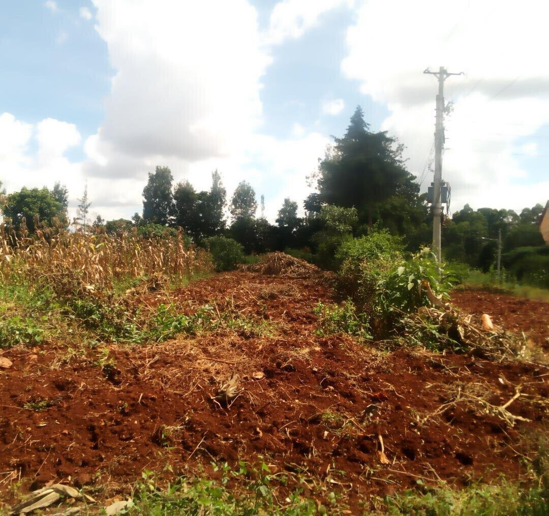 1.4-Acre Runda Plot at KSh 130M