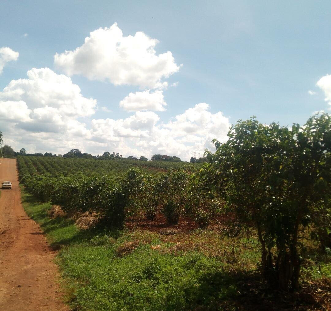 1.4-Acre Runda Plot at KSh 130M