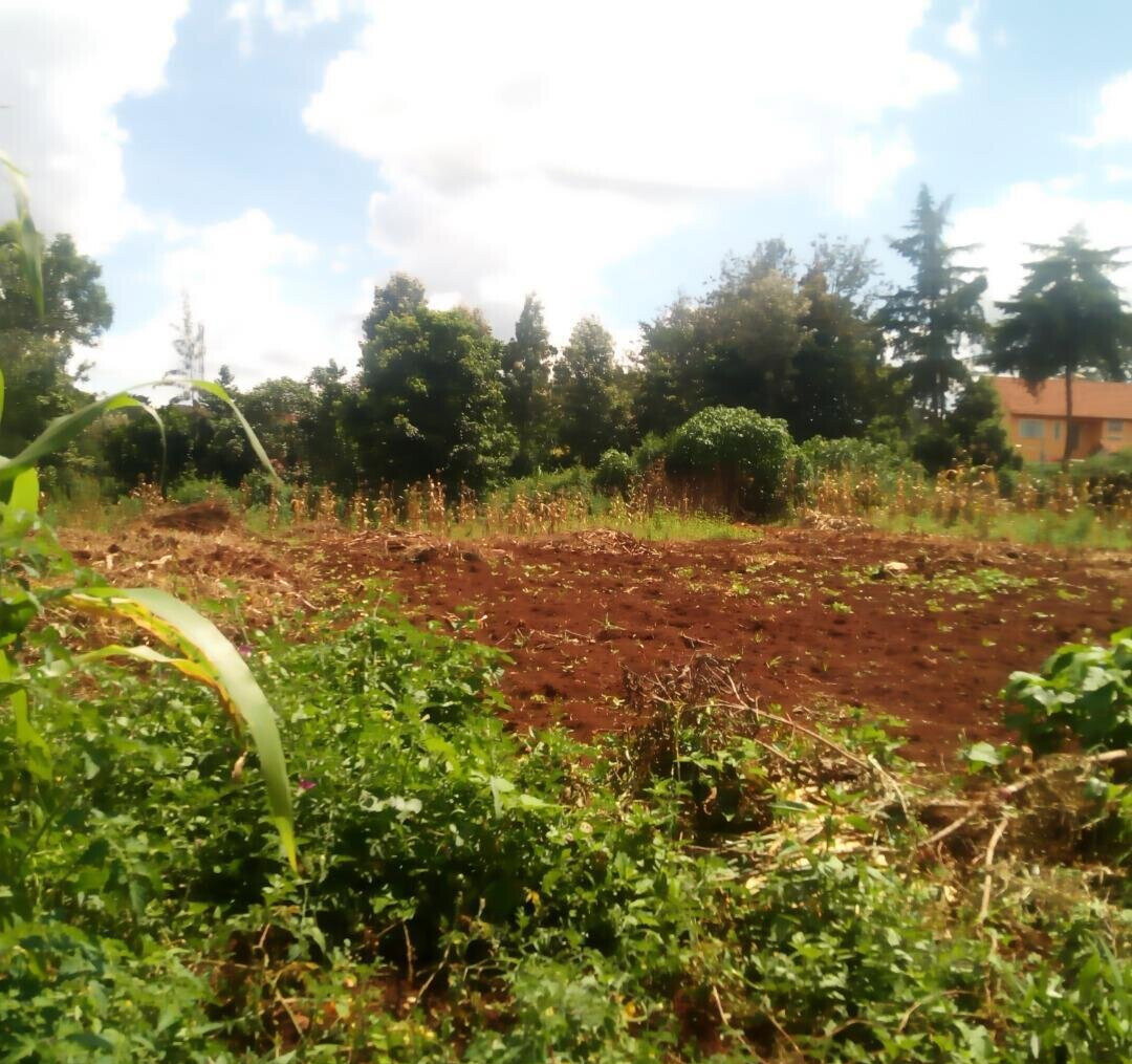 1.4-Acre Runda Plot at KSh 130M
