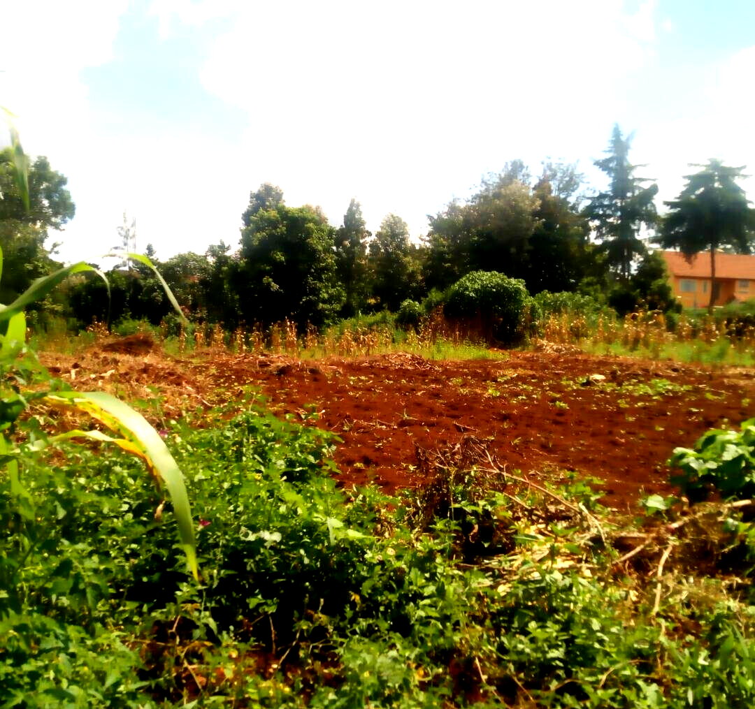 1.4-Acre Runda Plot at KSh 130M
