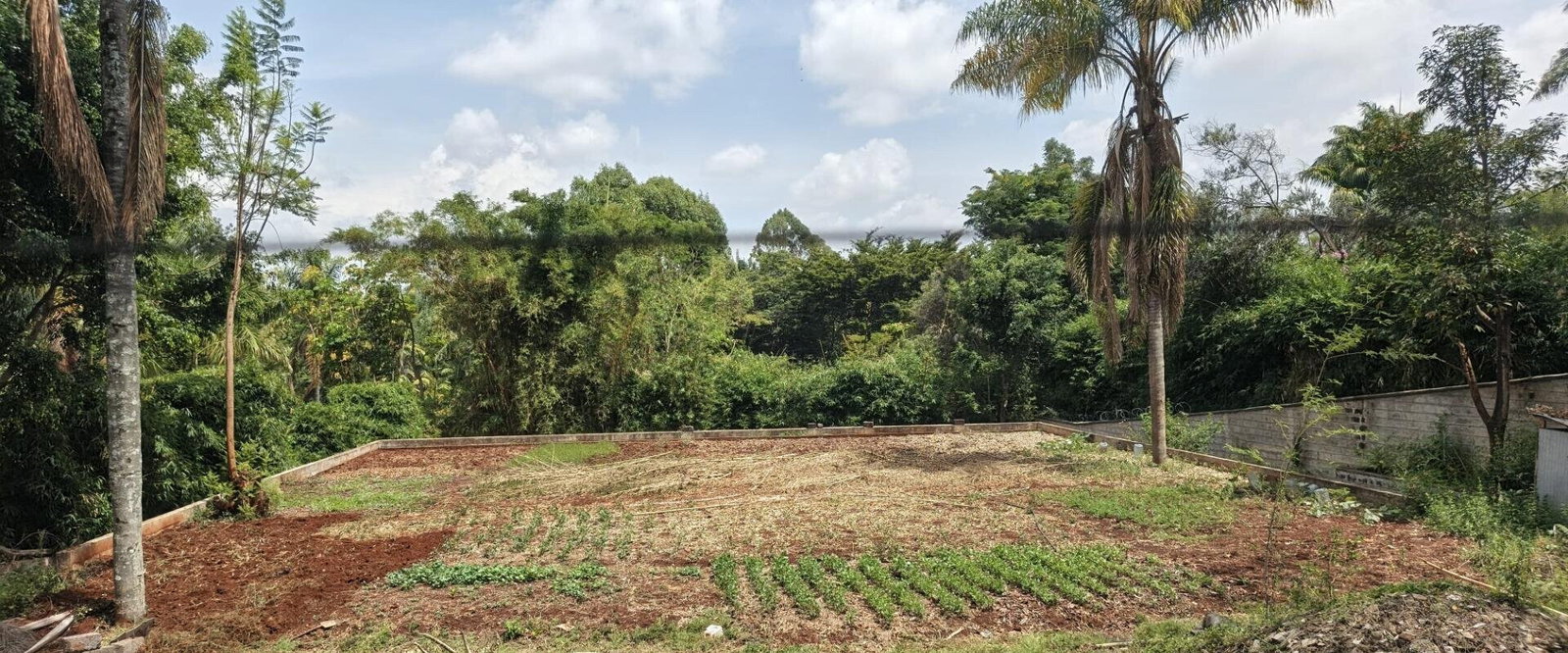 Half Acre Garden Plot with Parking at KSh 90M