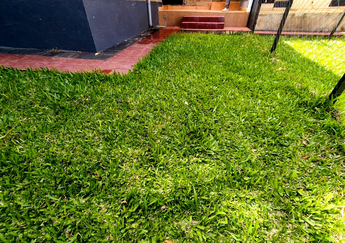 2BR Garden Haven at KSh 80K