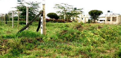 1/4 Acre Plots for Sale Along Moi South Lake Road, Naivasha - Image 3