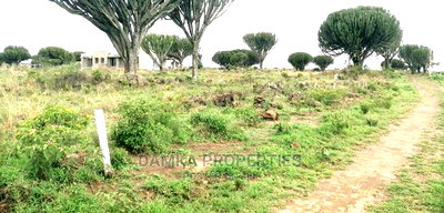 1/4 Acre Plots for Sale Along Moi South Lake Road, Naivasha - Image 2