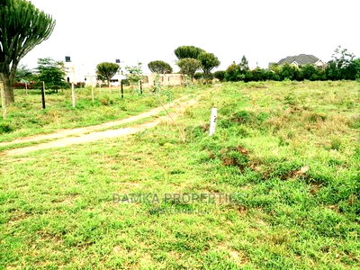 1/4 Acre Plots for Sale Along Moi South Lake Road, Naivasha - Image 4