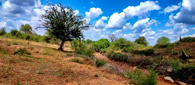 Embu County,Karura Mbeere South 18 Acres Farmland - Image 11