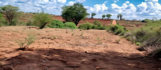 Embu County,Karura Mbeere South 18 Acres Farmland