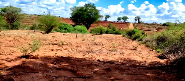 Embu County,Karura Mbeere South 18 Acres Farmland