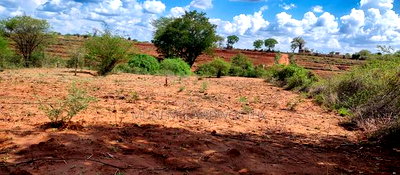 Embu County,Karura Mbeere South 18 Acres Farmland - Image 3