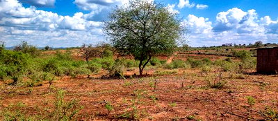 Embu County,Karura Mbeere South 18 Acres Farmland - Image 8