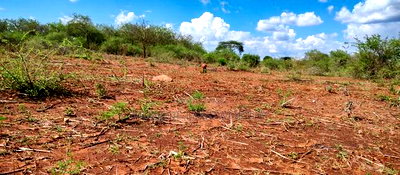 Embu County,Karura Mbeere South 18 Acres Farmland - Image 7