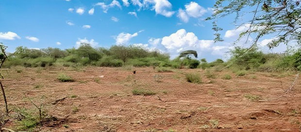 Embu County,Karura Mbeere South 18 Acres Farmland