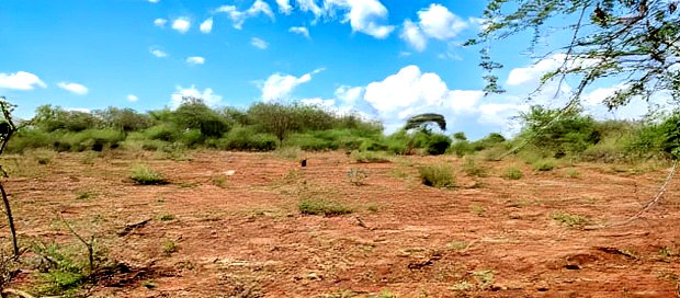 Embu County,Karura Mbeere South 18 Acres Farmland