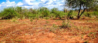 Embu County,Karura Mbeere South 18 Acres Farmland - Image 17