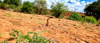 Embu County,Karura Mbeere South 18 Acres Farmland - Image 14