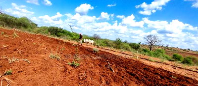 Embu County,Karura Mbeere South 18 Acres Farmland - Image 10