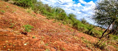 Embu County,Karura Mbeere South 18 Acres Farmland - Image 15