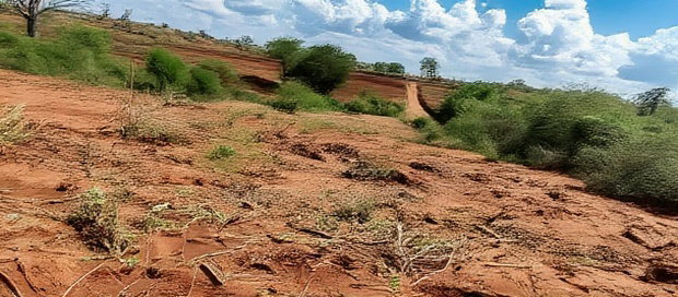Embu County,Karura Mbeere South 18 Acres Farmland