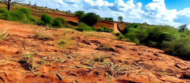 Embu County,Karura Mbeere South 18 Acres Farmland