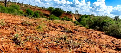 Embu County,Karura Mbeere South 18 Acres Farmland - Image 2