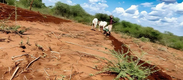 Embu County,Karura Mbeere South 18 Acres Farmland