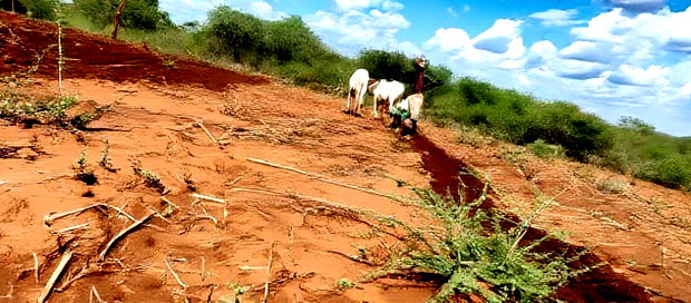 Embu County,Karura Mbeere South 18 Acres Farmland