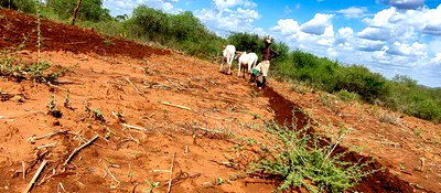 Embu County,Karura Mbeere South 18 Acres Farmland - Image 1