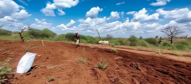 Embu County,Karura Mbeere South 18 Acres Farmland