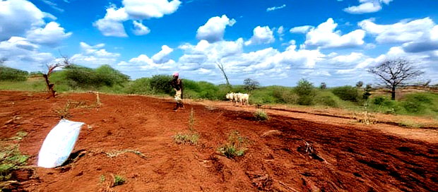 Embu County,Karura Mbeere South 18 Acres Farmland