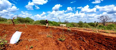 Embu County,Karura Mbeere South 18 Acres Farmland - Image 4