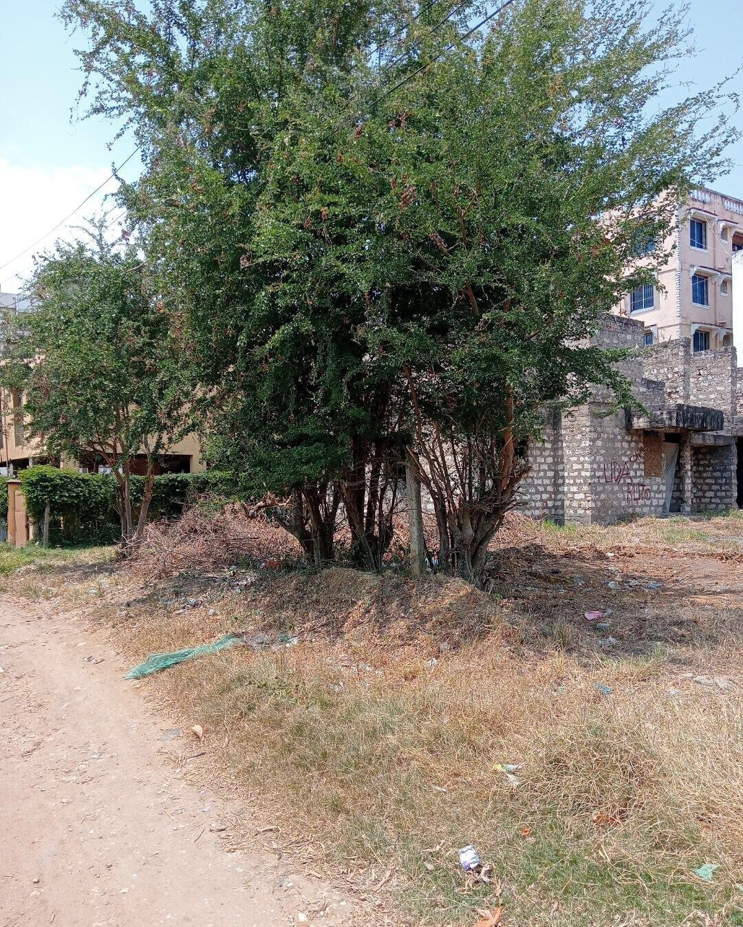 Quarter Acre Plot with Parking at KSh 12M