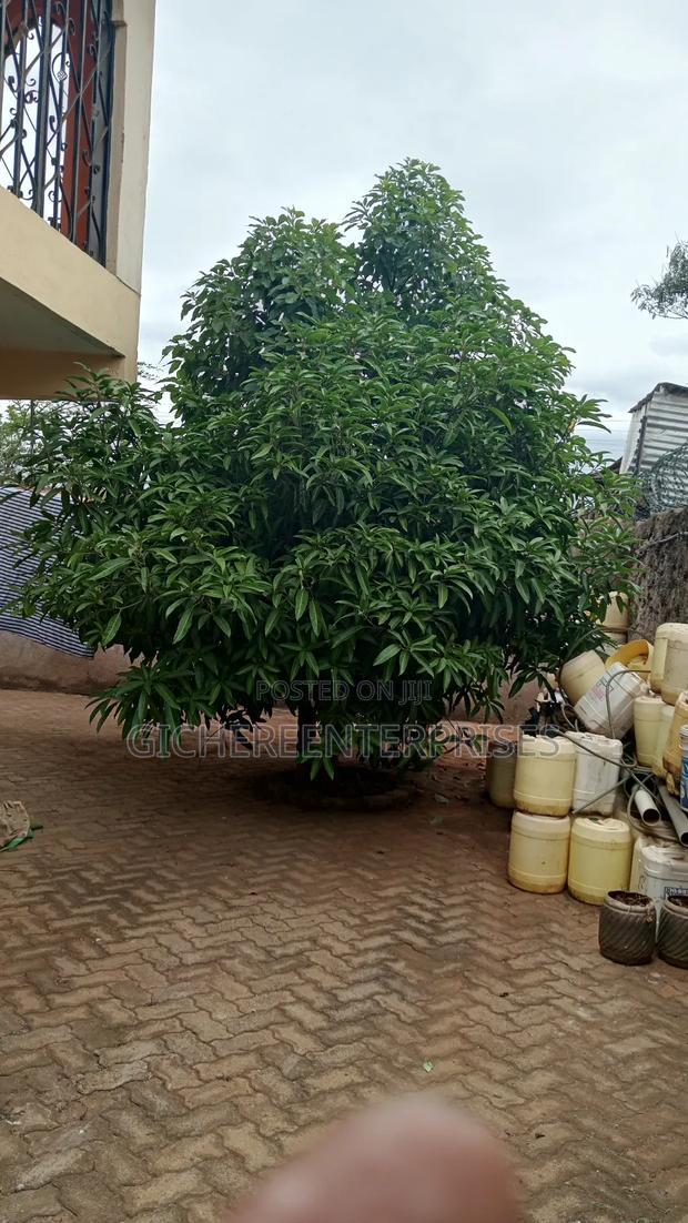 5bdrm Townhouse/Terrace in Makongeni / Thika for sale