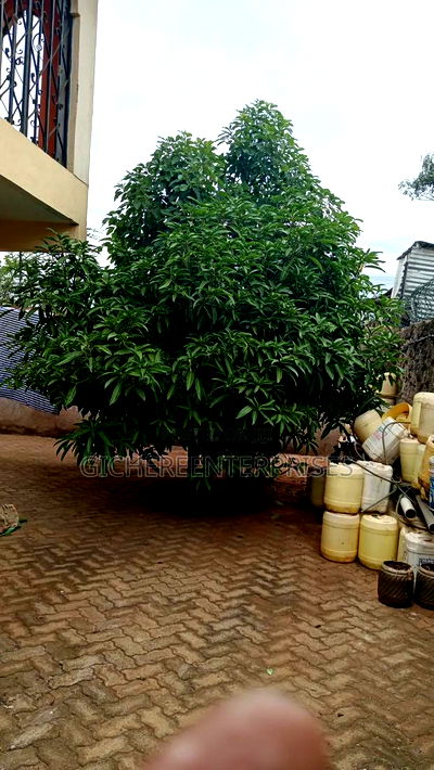 5bdrm Townhouse/Terrace in Makongeni / Thika for sale - Image 6