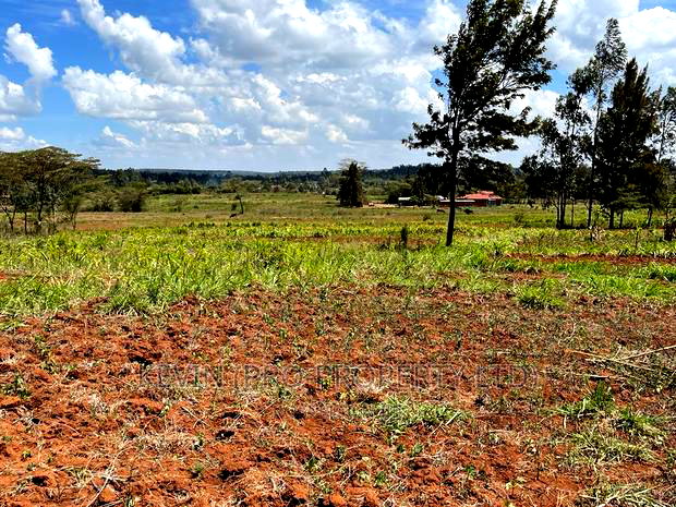 Residential Plot For Sale In Gikambura.(Behind Nairobi Ndogo