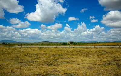 50x100 Plot with Garden at KSh 750K