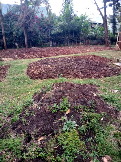 Half Acre With 2-BDRM Bungalow for Sale in Kerarapon Drive, Ngong - Image 3