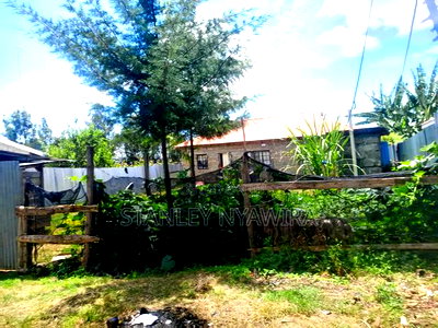 Quarter Acre Nanyuki - Image 2
