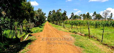 Plots for Sale in Illula After Kapsoya in Eldoret - Image 2
