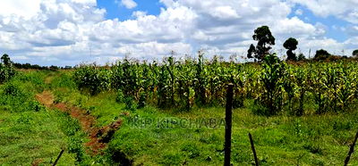 Plots for Sale in Illula After Kapsoya in Eldoret - Image 1
