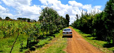 Plots for Sale in Illula After Kapsoya in Eldoret - Image 6