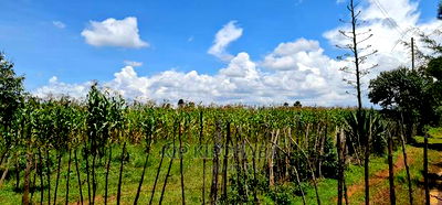 Plots for Sale in Illula After Kapsoya in Eldoret - Image 4
