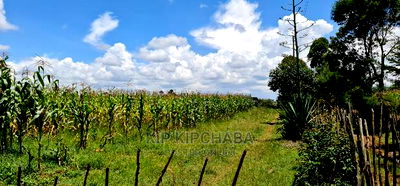 Plots for Sale in Illula After Kapsoya in Eldoret - Image 3