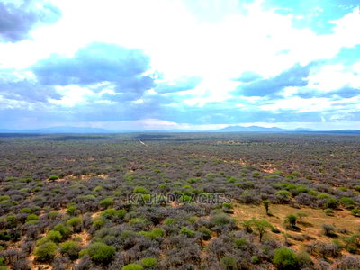 42 Acres Iselengei(Oloitoktok South) at 350k Per Acre - Image 6